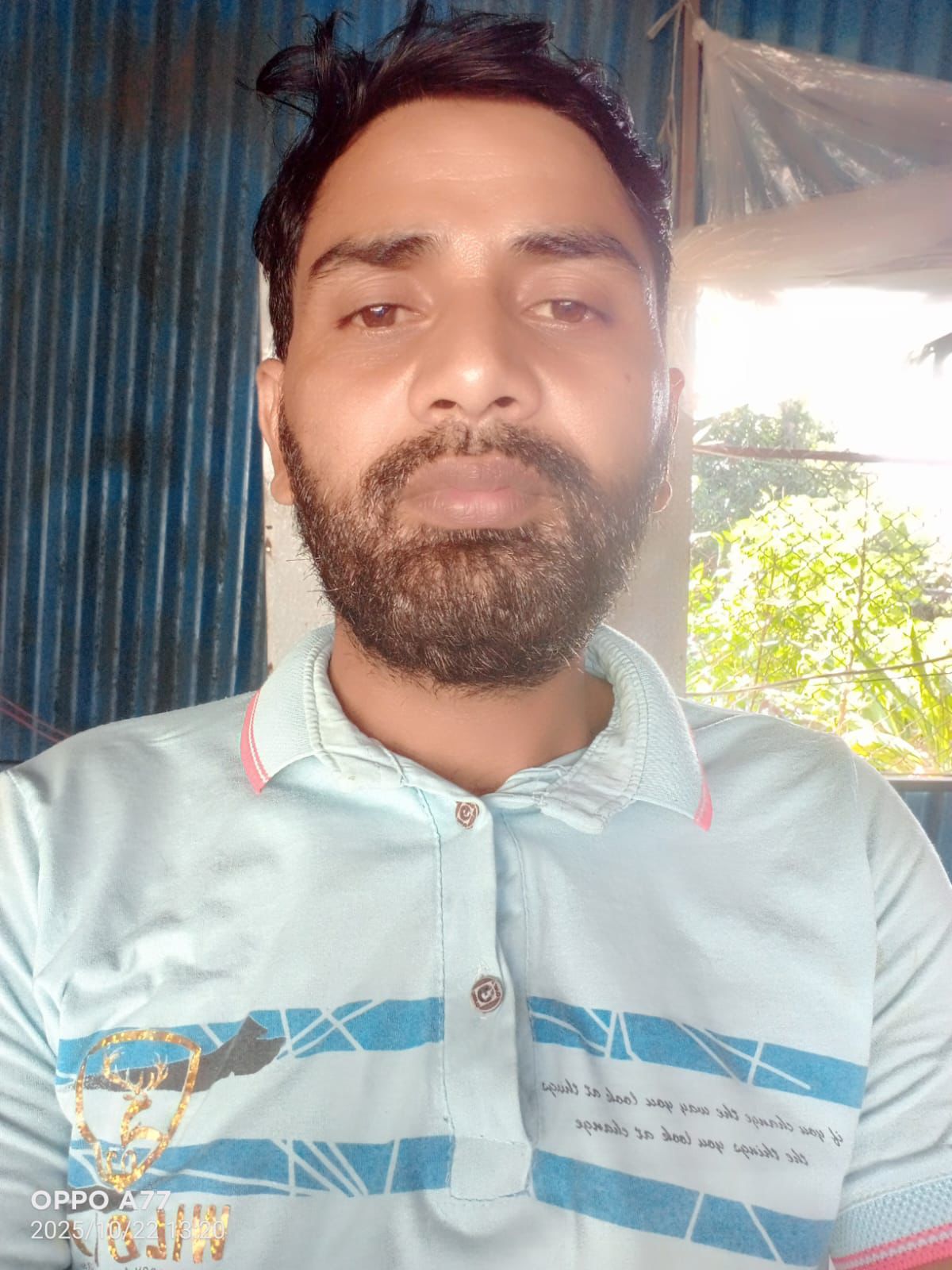 Sauladin Ansari